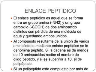ENLACE PEPTIDICO
 El enlace peptídico es aquel que se forma
entre un grupo amino (-NH2) y un grupo
carboxilo (-COOH) de d...