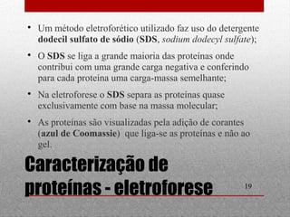  Um método eletroforético utilizado faz uso do detergente 
dodecil sulfato de sódio (SDS, sodium dodecyl sulfate); 
 O SDS se liga a grande maioria das proteínas onde 
contribui com uma grande carga negativa e conferindo 
para cada proteína uma carga-massa semelhante; 
 As proteínas são visualizadas pela adição de corantes 
(azul de Coomassie) que liga-se as proteínas e não ao 
gel. 
19 
 Na eletroforese o SDS separa as proteínas quase 
exclusivamente com base na massa molecular; 
Caracterização de 
proteínas - eletroforese 
 