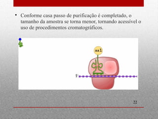  Conforme casa passo de purificação é completado, o 
tamanho da amostra se torna menor, tornando acessível o 
uso de procedimentos cromatográficos. 
22 
 