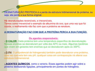 Os agentes responsáveis:
- O CALOR. Cada proteína tem uma temperatura específica de desnaturação.
Nossas enzimas se desnaturam por volta dos 42ºC ou mais. Algumas bactérias
que vivem em geiseres tem enzimas que só desnaturam após os 300ºC.
- O PH. O pH(potencial de hidrogenato) também pode desnaturar uma proteína,
uma vez que esta tem seu pH, qualquer coisa em contraposição irá alterar sua
estrutura tridimensional.
- AGENTES QUÍMICOS, como o veneno. Esses agentes podem agir sobre a
proteína desfazendo ligações, principalmente em pontes de hidrogênio.
DESNATURAÇÃO PROTEICA é a perda da estrutura tridimensional da proteína, ou
seja, ela perde a sua forma original.
Há desnaturações reversíveis, e irreversíveis.
Temos como irreversível o exemplo da albumina do ovo, que uma vez que foi
cozida, o resfriamento não faz com que a proteína se renature.
A DESNATURAÇÃO FAZ COM QUE A PROTEÍNA PERCA A SUA FUNÇÃO.
 