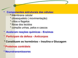 * Componentes estruturais das células:
* membrana celular
* citoesqueleto ( movimentação)
* cílios e flagelos
* fibras dos tecidos
* compõe unhas, pelos e cascos
* Aceleram reações químicas - Enzimas
* Participam da defesa - Anticorpos
* Constituem os hormônios – Insulina e Glucagom
* Proteínas contráteis
* Neurotransmissores
 
