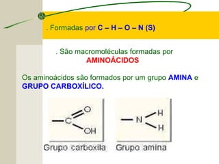 Os aminoácidos são formados por um grupo AMINA e
GRUPO CARBOXÍLICO.
. Formadas por C – H – O – N (S)
. São macromoléculas formadas por
AMINOÁCIDOS
 