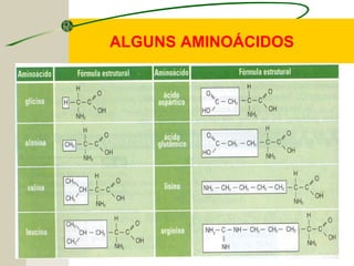 ALGUNS AMINOÁCIDOS
 