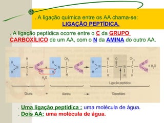 . A ligação peptídica ocorre entre o C da GRUPO
CARBOXÍLICO de um AA, com o N da AMINA do outro AA.
. Uma ligação peptídica : uma molécula de água.
. Dois AA: uma molécula de água.
. A ligação química entre os AA chama-se:
LIGAÇÃO PEPTÍDICA.
 