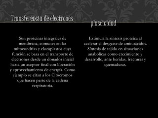 Son proteínas integrales de
membrana, comunes en las
mitocondrias y cloroplastos cuya
función se basa en el transporte de
electrones desde un donador inicial
hasta un aceptor final con liberación
y aprovechamiento de energía. Como
ejemplo se citan a los Citocromos
que hacen parte de la cadena
respiratoria.
Estimula la síntesis proteica al
acelerar el desgaste de aminoácidos.
Síntesis de tejido en situaciones
anabólicas como crecimiento y
desarrollo, ante heridas, fracturas y
quemaduras.
Transferencia de electrones
plasticidad
 