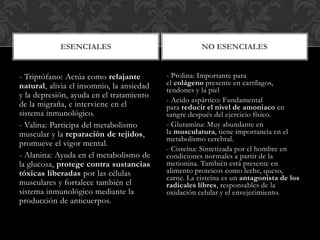 - Triptófano: Actúa como relajante
natural, alivia el insomnio, la ansiedad
y la depresión, ayuda en el tratamiento
de la migraña, e interviene en el
sistema inmunológico.
- Valina: Participa del metabolismo
muscular y la reparación de tejidos,
promueve el vigor mental.
- Alanina: Ayuda en el metabolismo de
la glucosa, protege contra sustancias
tóxicas liberadas por las células
musculares y fortalece también el
sistema inmunológico mediante la
producción de anticuerpos.
- Prolina: Importante para
el colágeno presente en cartílagos,
tendones y la piel
- Acido aspártico: Fundamental
para reducir el nivel de amoniaco en
sangre después del ejercicio físico.
- Glutamina: Muy abundante en
la musculatura, tiene importancia en el
metabolismo cerebral.
- Cisteína: Sintetizada por el hombre en
condiciones normales a partir de la
metionina. También está presente en
alimento proteicos como leche, queso,
carne. La cisteína es un antagonista de los
radicales libres, responsables de la
oxidación celular y el envejecimiento.
NO ESENCIALESESENCIALES
 