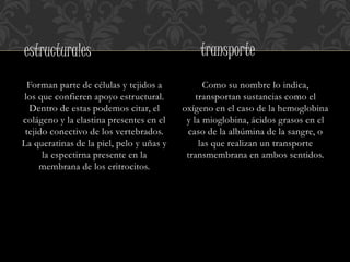 Forman parte de células y tejidos a
los que confieren apoyo estructural.
Dentro de estas podemos citar, el
colágeno y la elastina presentes en el
tejido conectivo de los vertebrados.
La queratinas de la piel, pelo y uñas y
la espectirna presente en la
membrana de los eritrocitos.
Como su nombre lo indica,
transportan sustancias como el
oxígeno en el caso de la hemoglobina
y la mioglobina, ácidos grasos en el
caso de la albúmina de la sangre, o
las que realizan un transporte
transmembrana en ambos sentidos.
estructurales transporte
 