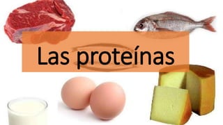 Las proteínas
 