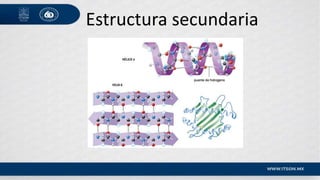 Estructura secundaria
 