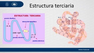 Estructura terciaria
 