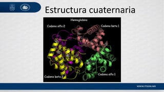 Estructura cuaternaria
 
