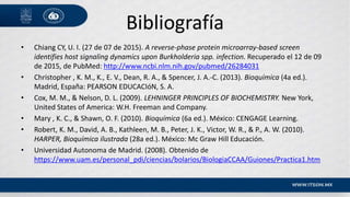 Bibliografía
• Chiang CY, U. I. (27 de 07 de 2015). A reverse-phase protein microarray-based screen
identifies host signaling dynamics upon Burkholderia spp. infection. Recuperado el 12 de 09
de 2015, de PubMed: http://www.ncbi.nlm.nih.gov/pubmed/26284031
• Christopher , K. M., K., E. V., Dean, R. A., & Spencer, J. A.-C. (2013). Bioquímica (4a ed.).
Madrid, España: PEARSON EDUCACIóN, S. A.
• Cox, M. M., & Nelson, D. L. (2009). LEHNINGER PRINCIPLES OF BIOCHEMISTRY. New York,
United States of America: W.H. Freeman and Company.
• Mary , K. C., & Shawn, O. F. (2010). Bioquímica (6a ed.). México: CENGAGE Learning.
• Robert, K. M., David, A. B., Kathleen, M. B., Peter, J. K., Victor, W. R., & P., A. W. (2010).
HARPER, Bioquímica ilustrada (28a ed.). México: Mc Graw Hill Educación.
• Universidad Autonoma de Madrid. (2008). Obtenido de
https://www.uam.es/personal_pdi/ciencias/bolarios/BiologiaCCAA/Guiones/Practica1.htm
 