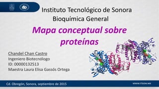 Mapa conceptual sobre
proteínas
Chandel Chan Castro
Ingeniero Biotecnólogo
ID: 00000132513
Maestra Laura Elisa Gassós Ortega
Instituto Tecnológico de Sonora
Bioquímica General
Cd. Obregón, Sonora, septiembre de 2015
 