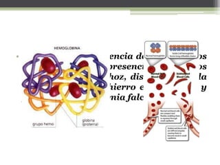 • Ese cambio de secuencia de aminoácidos
va a ocasionar la presencia de glóbulos
rojos en forma de hoz, disminuyendo la
concentración de hierro en la sangre y
produciendo la anemia falciforme.
 