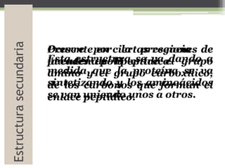 Estructurasecundaria
Presente en ciertas regiones de
la cadena polipeptídica.
Ocurre por la presencia de
puentes de H entre el grupo
amino y el grupo carboxílico,
de los carbonos que forman el
enlace peptídico.
Esta estructura se va dando a
medida que la proteína se va
sintetizando y los aminoácidos
se van uniendo unos a otros.
 