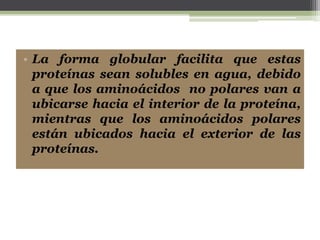 • La forma globular facilita que estas
proteínas sean solubles en agua, debido
a que los aminoácidos no polares van a
ubicarse hacia el interior de la proteína,
mientras que los aminoácidos polares
están ubicados hacia el exterior de las
proteínas.
 