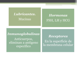 Lubricantes.
Mucinas
Hormonas
FSH, LH y HCG
Inmunoglobulinas
Anticuerpos,
eliminan a antígeno
específico
Receptores
En la superficie de
la membrana celular
 