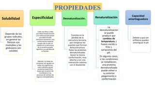 PROPIEDADES
Solubilidad
Depende de los
grupos radicales,
en general las
fibrosas son
insolubles y las
globulares son
solubles
Especificidad
Cada una lleva a cabo
una determinada función
y lo realiza porque posee
una determinada
estructura primaria y una
conformación espacial
propia; por lo que un
cambio en la estructura
de la proteína puede
significar una pérdida de
la función.
Además, no todas las
proteínas son iguales en
todos los organismos,
cada individuo posee
proteínas específicas
suyas que se ponen de
manifiesto en los
procesos de rechazo de
órganos transplantados.
Desnaturalización.
Consiste en la
pérdida de la
estructura terciaria,
por romperse los
puentes que forman
dicha estructura.
Todas las proteínas
desnaturalizadas
tienen la misma
conformación, muy
abierta y con una
interacción máxima
con el disolvente
Renaturalización
La
desnaturalización
se puede
producir por
cambios de
temperatura, (
huevo cocido o
frito ),
variaciones del
pH.
En algunos casos,
si las condiciones
se restablecen,
una proteína
desnaturalizada
puede volver a
su anterior
plegamiento o
conformación
Capacidad
amortiaguadora
Debido a que son
anfóteras pueden
amortiguar el pH
 
