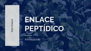 P
R
O
T
EÍ
NAS
ENLACE
PEPTÍDICO
Aminoácido
 