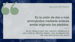 Es la unión de dos o mas
aminoácidos mediante enlaces
amida originado los péptidos.
ES EL RESULTADO DEL GRUPO CARBOXILO
(AA) CON EL GRUPO AMINO CON ELIMINACION
DE UNA MOLECULA DE AGUA
ENLACE PEPTIDICO
 