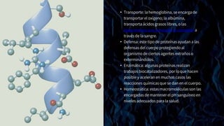 • Transporte: la hemoglobina, se encarga de
transportar el oxígeno; la albúmina,
transporta ácidos grasos libres, o las
lipoproteínas que conducen el colesterol a
través de la sangre.
• Defensa: este tipo de proteínas ayudan a las
defensas del cuerpo protegiendo al
organismo de ciertos agentes extraños o
exterminándolos.
• Enzimática: algunas proteínas realizan
trabajos biocatalizadores, por lo que hacen
posible y aceleran en muchos casos las
reacciones químicas que se dan en el cuerpo.
• Homeostática: estas macromoléculas son las
encargadas de mantener el pH sanguíneo en
niveles adecuados para la salud.
 