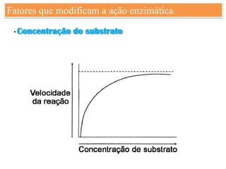 Fatores que modificam a ação enzimática

 • Concentração   do substrato
 
