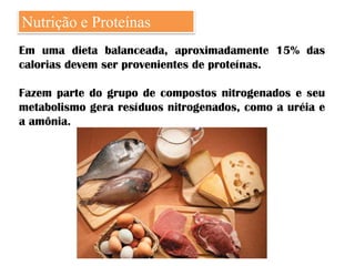 Nutrição e Proteínas
Em uma dieta balanceada, aproximadamente 15% das
calorias devem ser provenientes de proteínas.

Fazem parte do grupo de compostos nitrogenados e seu
metabolismo gera resíduos nitrogenados, como a uréia e
a amônia.
 