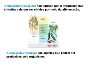 Aminoácidos essenciais: São aqueles que o organismo não
sintetiza e devem ser obtidos por meio da alimentação.




 Aminoácidos Naturais: são aqueles que podem ser
 produzidos pelo organismo.
 