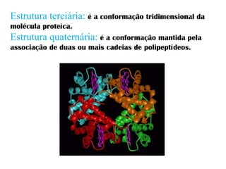 Estrutura terciária: é a conformação tridimensional da
molécula proteíca.
Estrutura quaternária: é a conformação mantida pela
associação de duas ou mais cadeias de polipeptídeos.
 