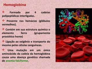 Hemoglobina
 Formada por 4 cadeias
polipeptídicas interligadas.
 Presente nas hemácias (glóbulos
vermelhos).
 Contém em sua estrutura química o
elemento ferro (grupamento
prostético heme)
 Ligação ao oxigênio e transporte do
mesmo pelas células sanguíneas.
 Uma mutação em um único
aminoácido da cadeia da hemoglobina
causa uma doença genética chamada
de anemia falciforme.
 