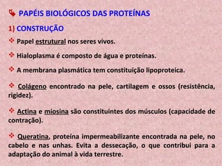  PAPÉIS BIOLÓGICOS DAS PROTEÍNAS
1) CONSTRUÇÃO
 Papel estrutural nos seres vivos.
 Hialoplasma é composto de água e proteínas.
 A membrana plasmática tem constituição lipoproteica.
 Colágeno encontrado na pele, cartilagem e ossos (resistência,
rigidez).
 Actina e miosina são constituintes dos músculos (capacidade de
contração).
 Queratina, proteína impermeabilizante encontrada na pele, no
cabelo e nas unhas. Evita a dessecação, o que contribui para a
adaptação do animal à vida terrestre.
 