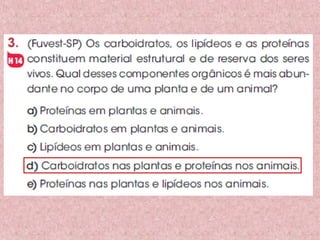 Proteínas composição e estrutura
