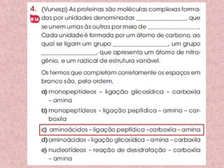 Proteínas composição e estrutura