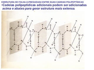 ESRRUTURA DE FOLHA  ß-PREGUEADA  ENTRE DUAS CADEIAS POLIPEPTÍDICAS Cadeias polipeptídicas adicionais podem ser adicionadas acima e abaixo para gerar estrutura mais extensa. 