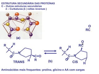 ESTRUTURA SECUNDÁRIA DAS PROTEÍNAS C – Outras estruturas secundárias 2 – Curbaturas  β  ( voltas reversas )   CIS N O RC C O C R H H O RC TRANS (a) (b) Aminoácidos mais frequentes: prolina, glicina e AA com cargas N C=O R C O C R H H 