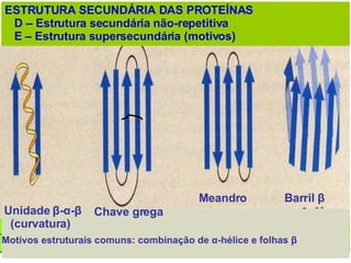 ESTRUTURA SECUNDÁRIA DAS PROTEÍNAS D – Estrutura secundária não-repetitiva E – Estrutura supersecundária (motivos) Unidade  β - α - β (curvatura) Chave grega Meandro  Barril  β   Motivos estruturais comuns: combinação de  α -hélice e folhas   β 