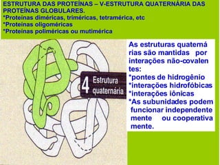 ESTRUTURA DAS PROTEÍNAS – V-ESTRUTURA QUATERNÁRIA DAS PROTEÍNAS GLOBULARES. *Proteínas diméricas, triméricas, tetramérica, etc *Proteínas oligoméricas  *Proteínas poliméricas ou mutimérica  As estruturas quaterná rias são mantidas  por interações não-covalen tes: *pontes de hidrogênio *interações hidrofóbicas *interações iônicas *As subunidades podem funcionar independente mente  ou cooperativa mente. 