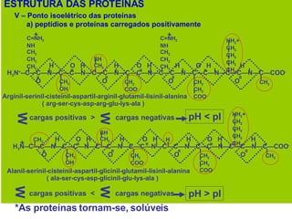 ESTRUTURA DAS PROTEÍNAS V – Ponto isoelétrico das proteínas a) peptídios e proteínas carregados positivamente H  O  H  H  O  H  H  O  H  H  H 3 N + --C—C—N—C—C—N—C—C—N—C—C—N—C—C—N—C—C—N—C—C—N—C—COO - O  O  O  O  = = = = = = = C=NH 2 NH CH 2 CH 2 CH 2 CH 2 OH CH 2 CH 2 COO - SH CH 2 HH 3 + CH 2 CH 2 CH 2 CH 2 CH 2 COO - CH 3 Arginil-serinil-cisteinil-aspartil-arginil-glutamil-lisinil-alanina ( arg-ser-cys-asp-arg-glu-lys-ala ) W cargas positivas  >  cargas negativas  C=NH 2 NH CH 2 CH 2 CH 2 + + + W pH < pI Alanil-serinil-cisteinil-aspartil-glicinil-glutamil-lisinil-alanina ( ala-ser-cys-asp-glicinil-glu-lys-ala ) cargas positivas  <  cargas negativas  pH > pI *As proteínas tornam-se, solúveis  W W H  O  H  H  O  H  H  O  H  H  H 3 N--C—C—N—C—C—N—C—C—N—C—C—N—C—C—N—C—C—N—C—C—N—C—COO - O  O  O  O  = = = = = = = CH 3 CH 2 OH CH 2 CH 2 COO - SH CH 2 HH 3 + CH 2 CH 2 CH 2 CH 2 CH 2 COO - H CH 3 