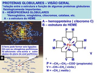 PROTEÍNAS GLOBULARES – VISÃO GERAL *relação entre a estrutura e função de algumas proteínas globulares  fisiologicamente importantes. II – HEMOPROÉÍNAS GLOBULARES *Hemoglobina, mioglobina, citocromos, catalase, etc. A – a estrutura do HEME O ferro pode formar seis ligações: O4 com os nitrogênios porfirínicos 02 adicionais: uma acima  e  outra abaixo do plano do anel porfirínico B A – hemopproteína ( citocromo C) B – estrutura do HEME M P =  --CH 2 —CH 2 —COO -  (propionato) V = --CH—CH 2  ( vinila ) M = --CH 3  ( metila ) P M Fe N N N N P M V V V M 