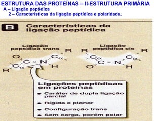 ESTRUTURA DAS PROTEÍNAS – II-ESTRUTURA PRIMÁRIA A – Ligação peptídica 2 – Características da ligação peptídica e polaridade. 