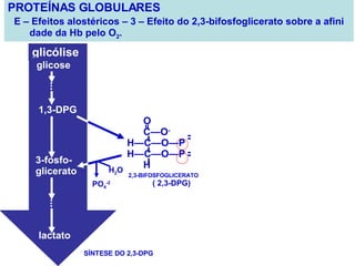 PROTEÍNAS GLOBULARES E – Efeitos alostéricos – 3 – Efeito do 2,3-bifosfoglicerato sobre a afini dade da Hb pelo O 2 . glicólise glicose 1,3-DPG 3-fosfo- glicerato lactato . . . . . . . 2,3-BIFOSFOGLICERATO ( 2,3-DPG) H 2 O PO 4 -2 SÍNTESE DO 2,3-DPG O C—O - H—C—O—P H—C—O—P  H  = 
