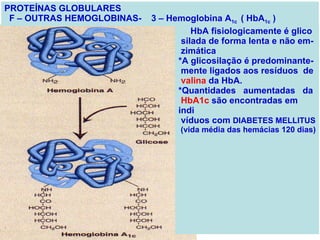 PROTEÍNAS GLOBULARES F – OUTRAS HEMOGLOBINAS-  3 – Hemoglobina A 1c  ( HbA 1c  )   A   HbA fisiologicamente é glico silada de forma lenta e não em- zimática *A glicosilação é predominante- mente ligados aos resíduos  de valina  da HbA. *Quantidades  aumentadas  da HbA1c  são encontradas em indi víduos com  DIABETES MELLITUS (vida média das hemácias 120 dias) 