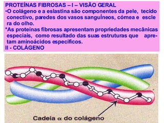 PROTEÍNAS FIBROSAS – I – VISÃO GERAL O colágeno e a eslastina são componentes da pele,  tecido conectivo, paredes dos vasos sanguÍneos, córnea e  escle ra do olho. *As proteínas fibrosas apresentam propriedades mecânicas especiais,  como resultado das suas estruturas que  apre- tam aminoácidos específicos. II - COLÁGENO 