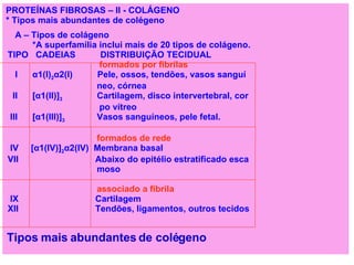 PROTEÍNAS FIBROSAS – II - COLÁGENO * Tipos mais abundantes de colégeno  A – Tipos de colágeno *A superfamília inclui mais de 20 tipos de colágeno. TIPO  CADEIAS  DISTRIBUIÇÃO TECIDUAL formados por fibrilas I  α 1(I) 2 α 2(I)  Pele, ossos, tendões, vasos sanguí  neo, córnea II  [ α 1(II)] 3   Cartilagem, disco intervertebral, cor  po vítreo III  [ α 1(III)] 3   Vasos sanguíneos, pele fetal. formados de rede IV  [ α 1(IV)] 2 α 2(IV)  Membrana basal VII  Abaixo do epitélio estratificado esca moso associado a fibrila IX  Cartilagem XII  Tendões, ligamentos, outros tecidos   Tipos mais abundantes de colégeno 