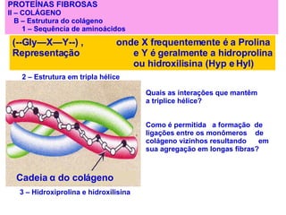 PROTEÍNAS FIBROSAS II – COLÁGENO  B – Estrutura do colágeno 1 – Sequência de aminoácidos (--Gly—X—Y--) ,  onde X frequentemente é a Prolina Representação   e Y é geralmente a hidroprolina ou hidroxilisina (Hyp e Hyl) 2 – Estrutura em tripla hélice Quais as interações que mantêm a triplice hélice? Como é permitida  a formação  de ligações entre os monômeros  de colágeno vizinhos resultando  em sua agregação em longas fibras? Cadeia  α  do colágeno   3 – Hidroxiprolina e hidroxilisina 