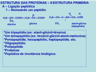 ESTRUTURA DAS PROTEÍNAS – II-ESTRUTURA PRIMÁRIA A – Ligação peptídica 1 – Nomeando um peptídio O  H  H 3 N—CH—C—NH—CH—COO -  CH 3 = H H 2 N—CH—COOH  H 3 N—CH—COOH  CH 3 + alanil-glicina (dipeptídio) alanina glicina *Um tripeptídio (ex: alanil-glicinil-tirosina) *Um tetrapeptídio (ex: tirosinil-glicinil-alanil-metionina) *Pentapeptídio, hexapeptídio, heptapeptídio, etc. *Oligopeptídio *Polipeptídio *Proteínas *Peptídios de imortância biológica: 