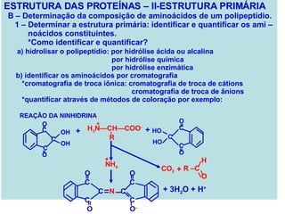 ESTRUTURA DAS PROTEÍNAS – II-ESTRUTURA PRIMÁRIA B – Determinação da composição de aminoácidos de um polipeptídio. 1 – Determinar a estrutura primária: identificar e quantificar os ami – noácidos constituintes. *Como identificar e quantificar? a) hidrolisar o polipeptídio: por hidrólise ácida ou alcalina por hidrólise química por hidrólise enzimática b) identificar os aminoácidos por cromatografia *cromatografia de troca iônica: cromatografia de troca de cátions cromatografia de troca de ânions *quantificar através de métodos de coloração por exemplo: H 3 N—CH—COO - R C C C OH OH = = O O C C C HO HO O O = = + NH 4 CO 2 + + + 3H 2 O + H + + + REAÇÃO DA NINHIDRINA C C C C N C C = = = O O O O - H R –C O  