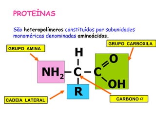 PROTEÍNAS

  São heteropolímeros constituídos por subunidades
  monoméricas denominadas aminoácidos.
                                       GRUPO CARBOXILA

                          H
GRUPO AMINA

                                       O
              NH2 C              C
                                       OH
                          R               CARBONO α
CADEIA LATERAL
 