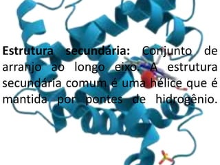 Estrutura secundária: Conjunto de
arranjo ao longo eixo. A estrutura
secundária comum é uma hélice que é
mantida por pontes de hidrogênio.
 