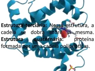 Estrutura terciária: Nessa estrutura, a
cadeia se dobra sobre si mesma.
Estrutura quaternária: proteína
formada por uma cadeia polipeptícas.
 